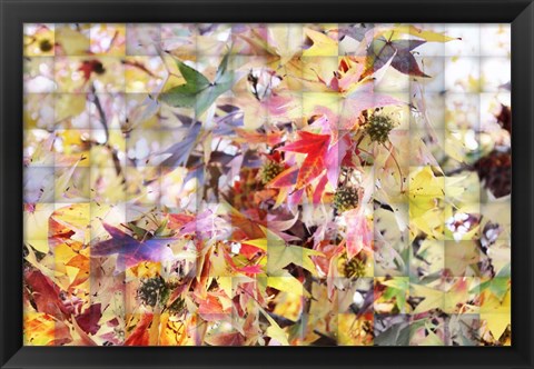 Framed Autumn Leaves 3 Print