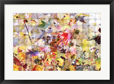 Framed Autumn Leaves 3 Print