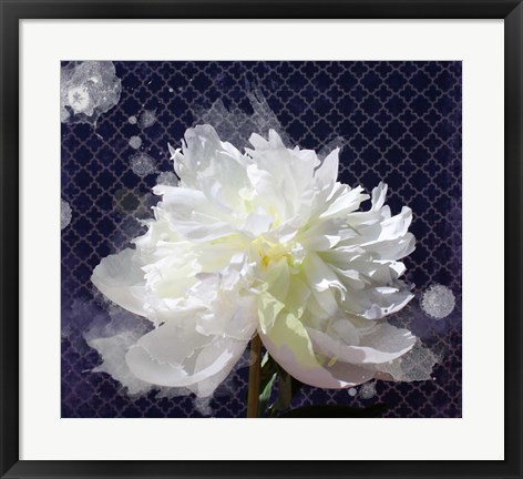 Framed White Peony-Scents of Heaven 2 Print