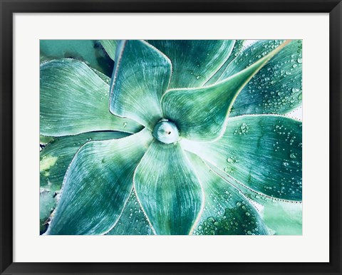 Framed Green Tropical Succulent Beauty 2 Print