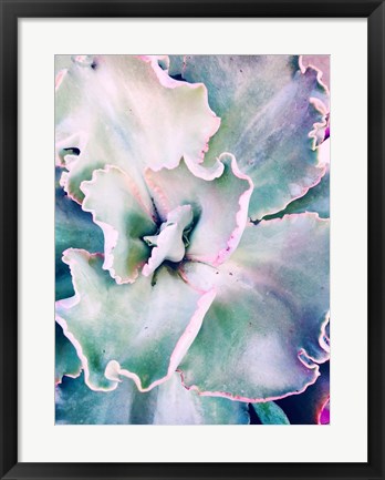 Framed Tropical Pink Blue Succulent Print