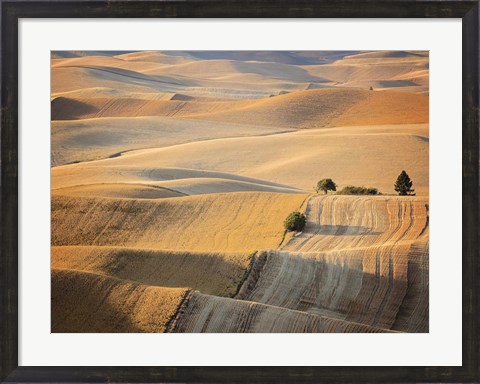 Framed Farm &amp; Field III Print