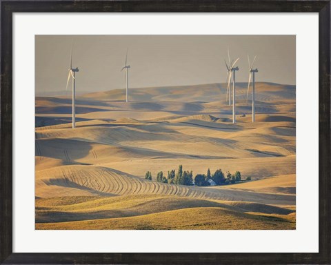 Framed Farm &amp; Field IV Print