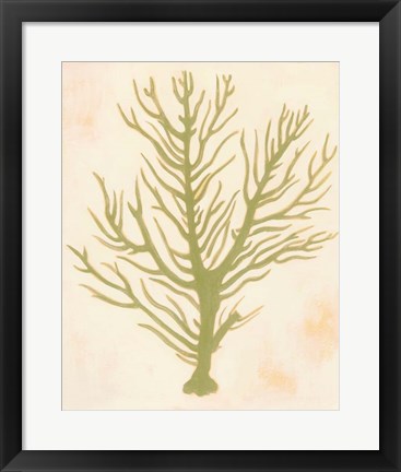 Framed Deep Sea Coral II Print