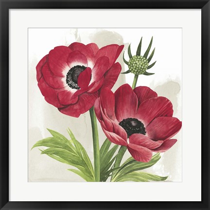 Framed Crimson Anemones I Print