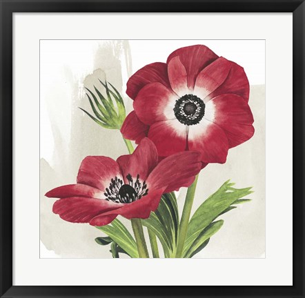 Framed Crimson Anemones II Print