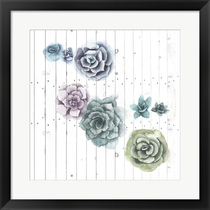 Framed Shiplap Succulent Cluster IV Print