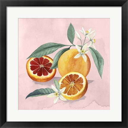 Framed Orange Blossom II Print