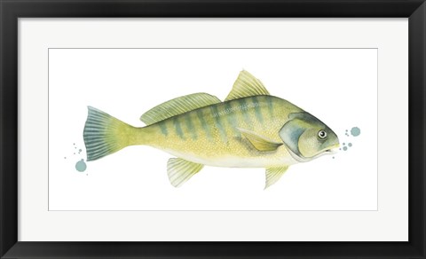 Framed Chromatic Catch I Print