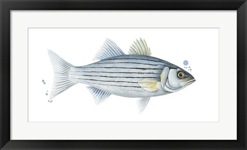 Framed Chromatic Catch III Print