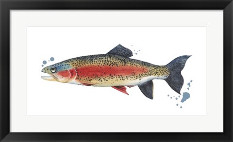 Framed Chromatic Catch IV Print