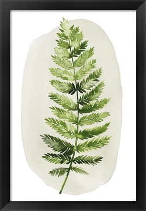 Framed Spot Fern II Print