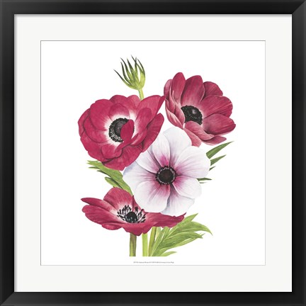 Framed Anemone Blooms II Print