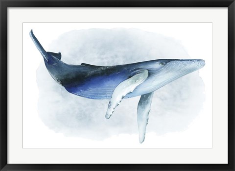 Framed Watercolor Humpback I Print