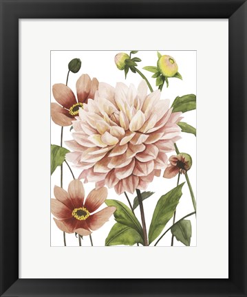 Framed Dahlia Spell I Print