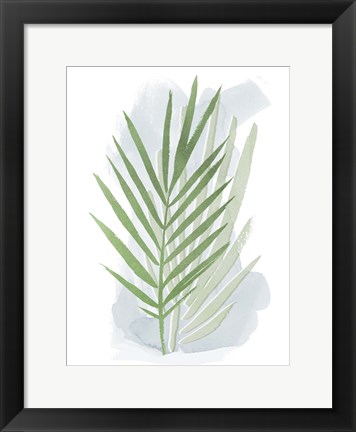 Framed Palm Overlay I Print