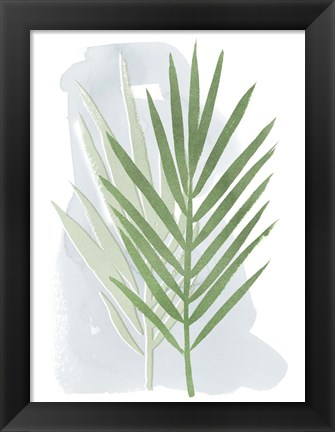 Framed Palm Overlay II Print