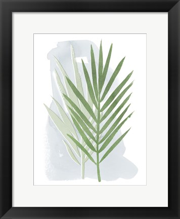 Framed Palm Overlay II Print