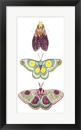 Framed Moth Fairies I Print