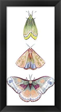 Framed Moth Fairies II Print