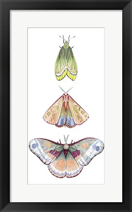 Framed Moth Fairies II Print