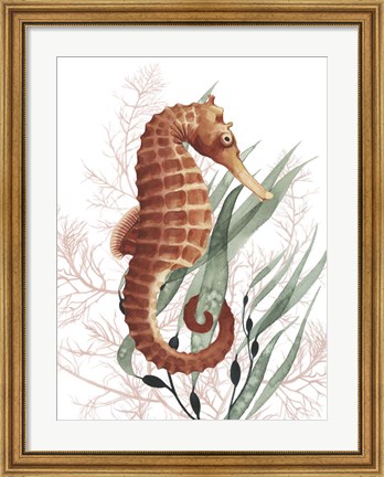 Framed Seahorse Treasures I Print