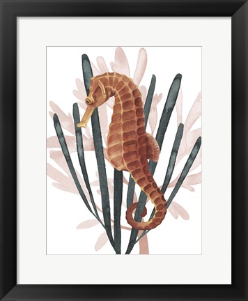 Framed Seahorse Treasures II Print