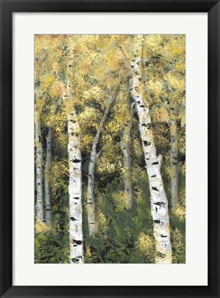 Framed Birch Treeline III Print