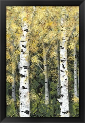 Framed Birch Treeline I Print