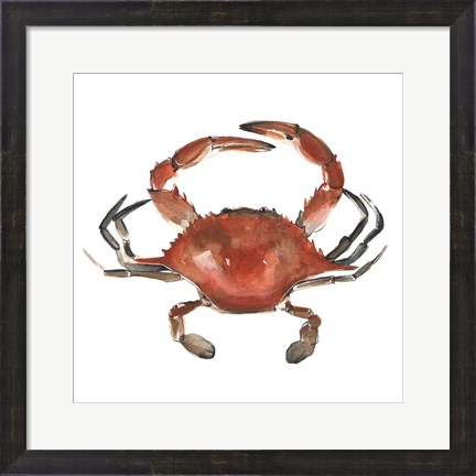 Framed Watercolor Crab I Print