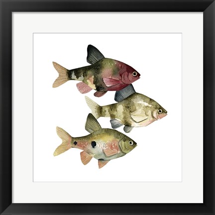 Framed Rainbow Fish II Print