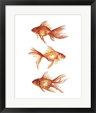 Framed Ornamental Goldfish III Print