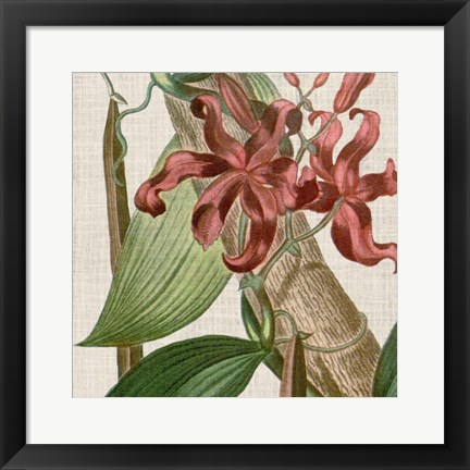 Framed Cropped Turpin Tropicals IX Print