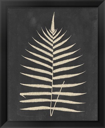 Framed Linen Fern III Print