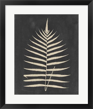 Framed Linen Fern III Print