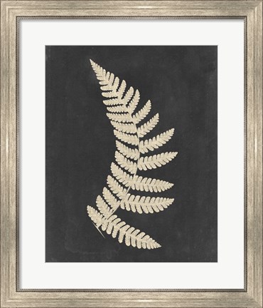 Framed Linen Fern IV Print