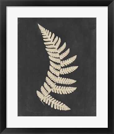 Framed Linen Fern IV Print