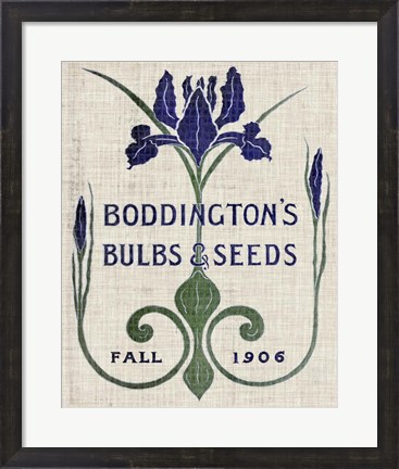 Framed Flower Seed Packs IV Print