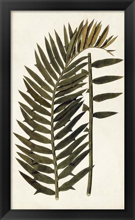 Framed Leaf Varieties VIII Print