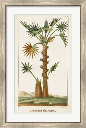 Framed Exotic Palms I Print