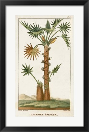 Framed Exotic Palms I Print