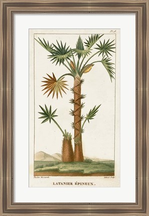 Framed Exotic Palms I Print