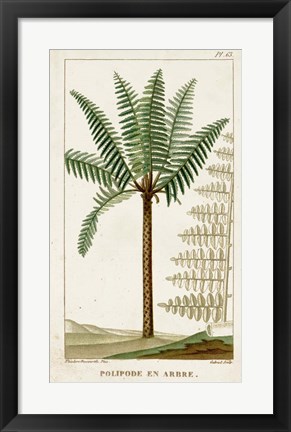 Framed Exotic Palms III Print
