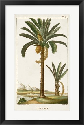 Framed Exotic Palms IV Print