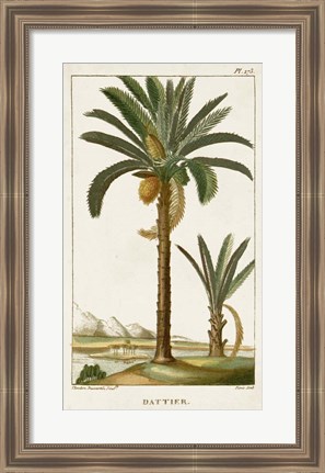 Framed Exotic Palms IV Print