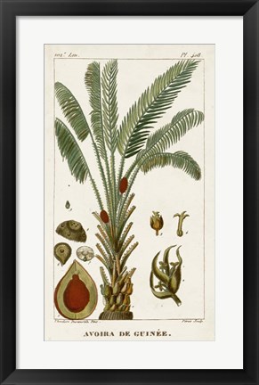 Framed Exotic Palms VI Print