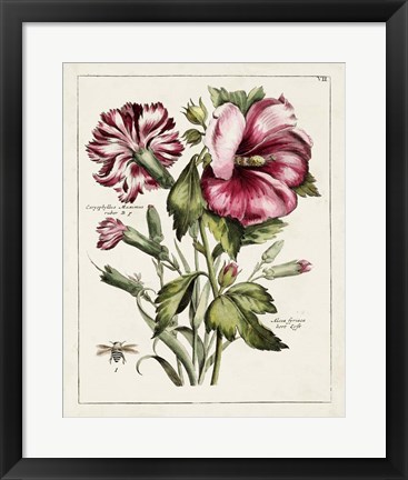 Framed Pink Hibiscus Print