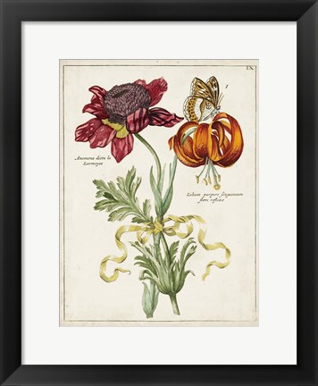 Framed Botanical Bouquet II Print