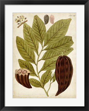 Framed Horticultural Specimen III Print