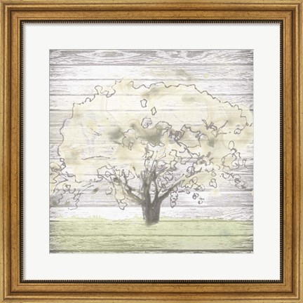 Framed Barn Tree I Print